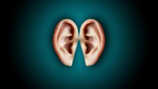 アイキャッチ画像l3