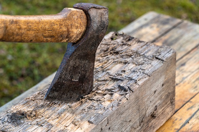 アイキャッチ画像a1