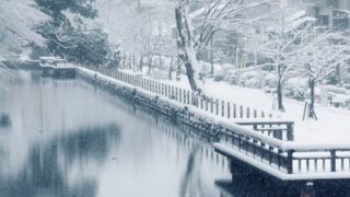 アイキャッチ画像s1